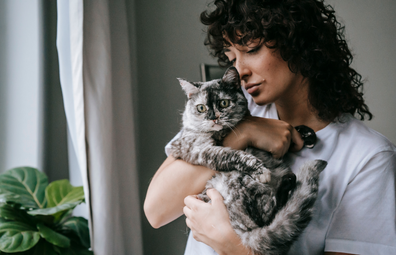 Forrás: canva.com
