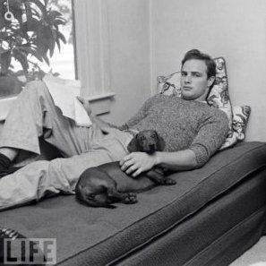 Marlon Brando tacskójával: celebritydogwatcher.com