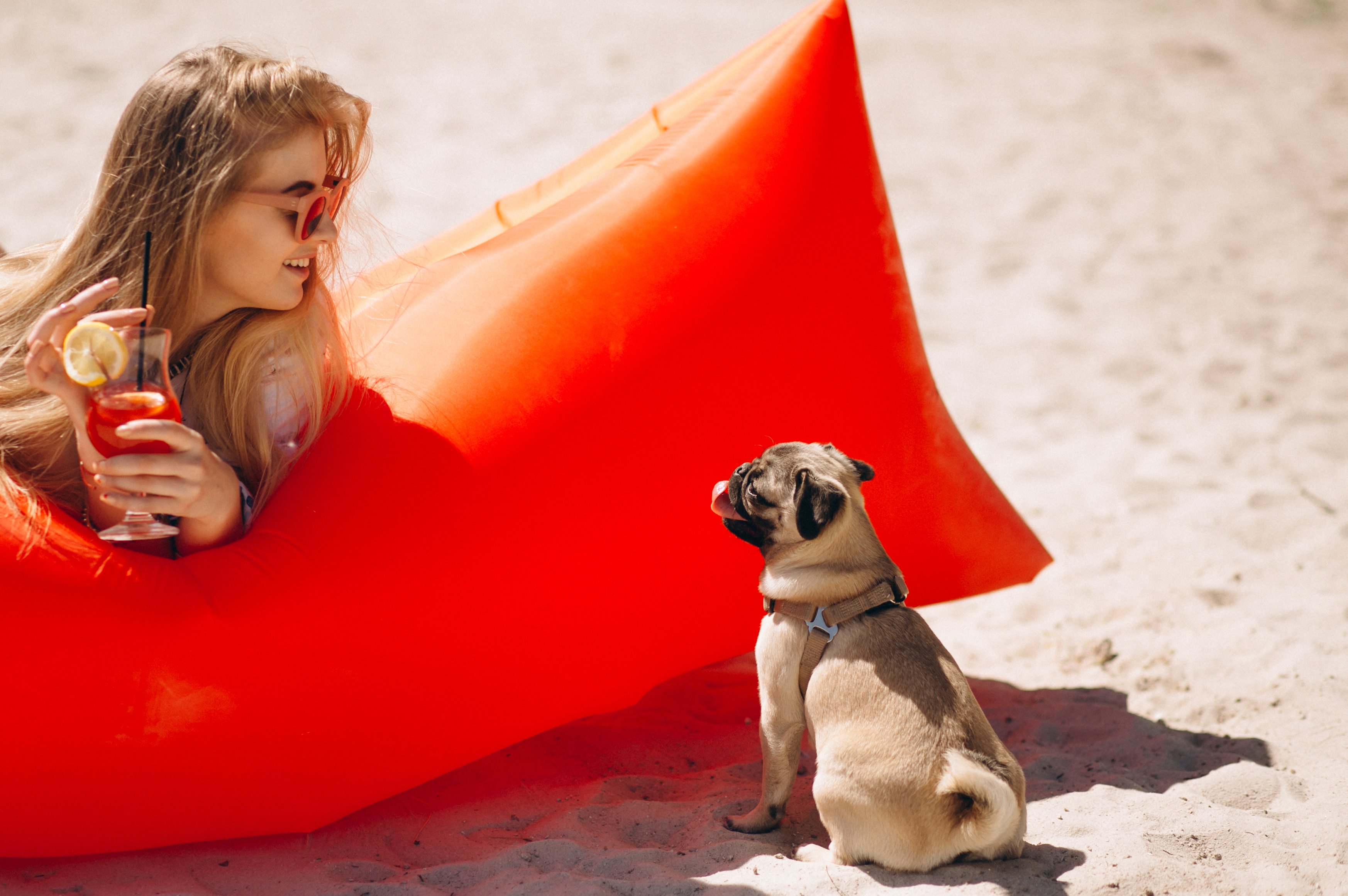 mopsz a strandon