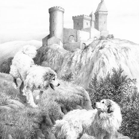 Cascassone vár őrzői_forrás: nationalpurebreddogday.com