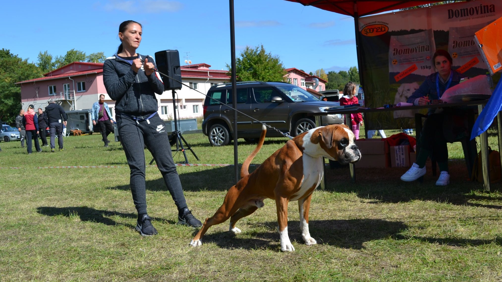 Csia Gabriella a Sangreal Boxer Kennel tulajdonosának fotója