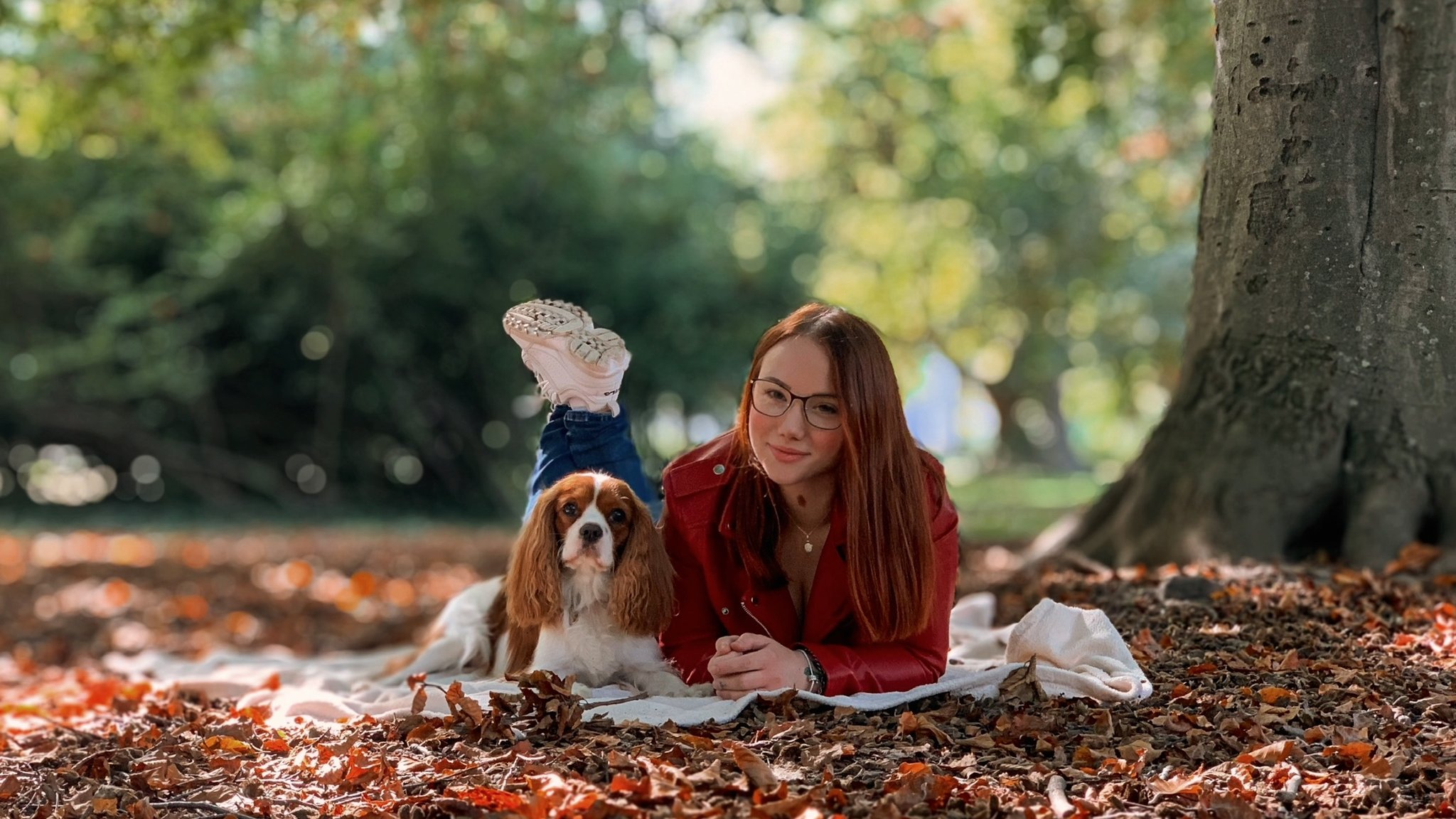 Cavalier King Charles spániel gazdájával piknikezik fa alatt