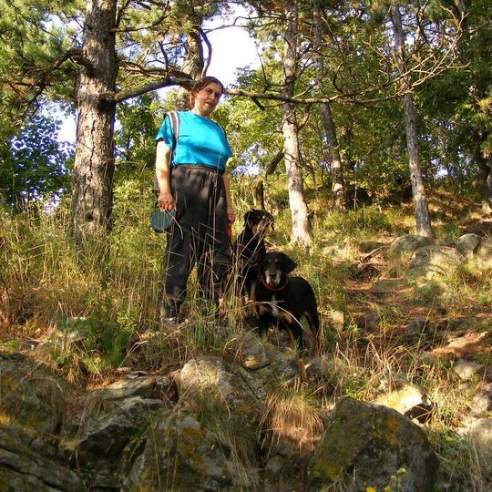 Gyurkó Rita Hungarian Cat Cather Kopo erdélyi kopó kennel tulajdonosának fotója