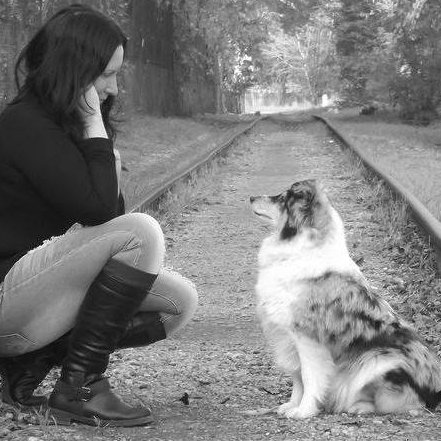 sheltie az erdőben gazdájával