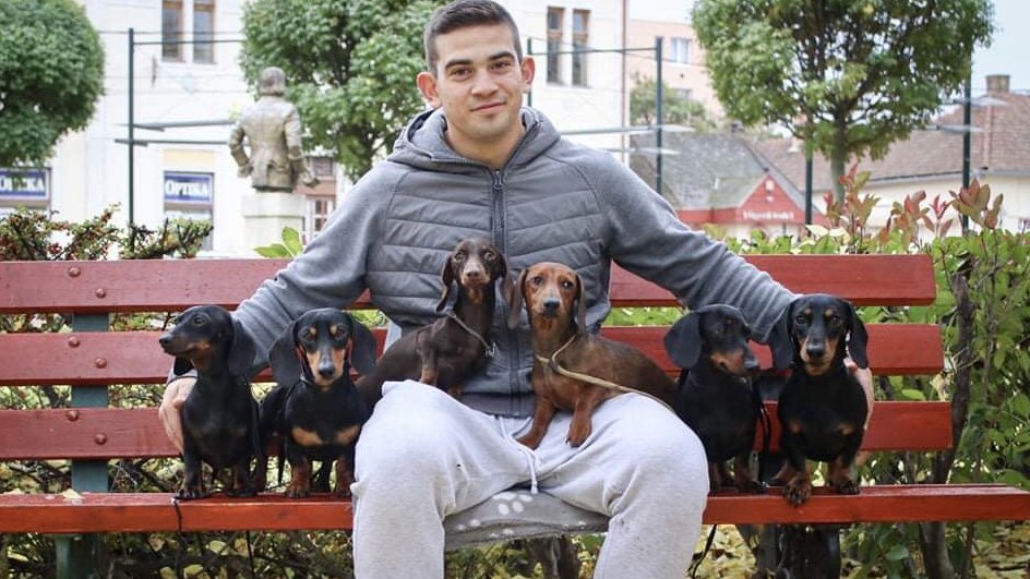 férfi egy rakás tacskóval a padon