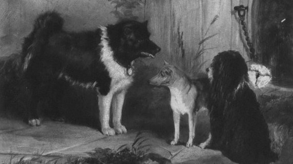 1843.T.M.Joy festménye