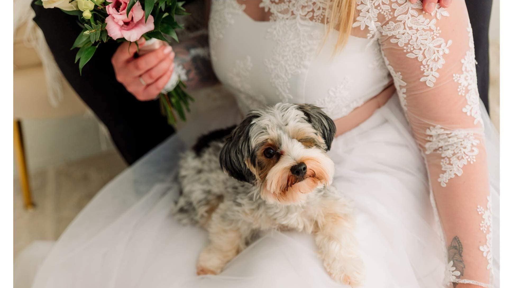 Győriné Balogh Katalin a Cuha-Valley Diamond kennel tulajdonosának fotója