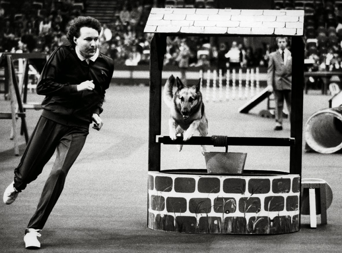 1978. Crufts agility_forrás: lunalovebugdogblog.blogspot.com