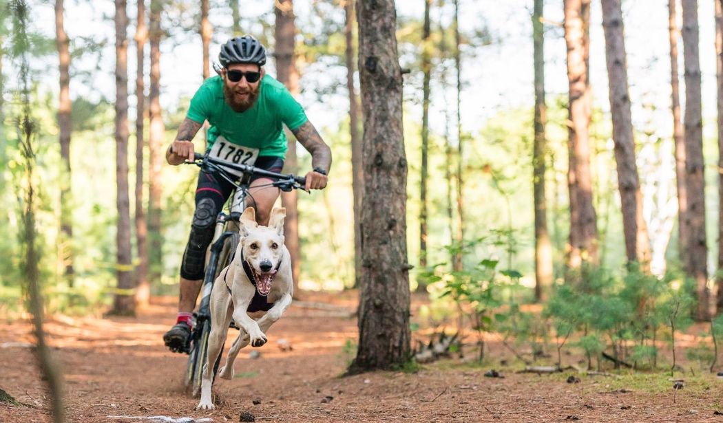 bikejöring