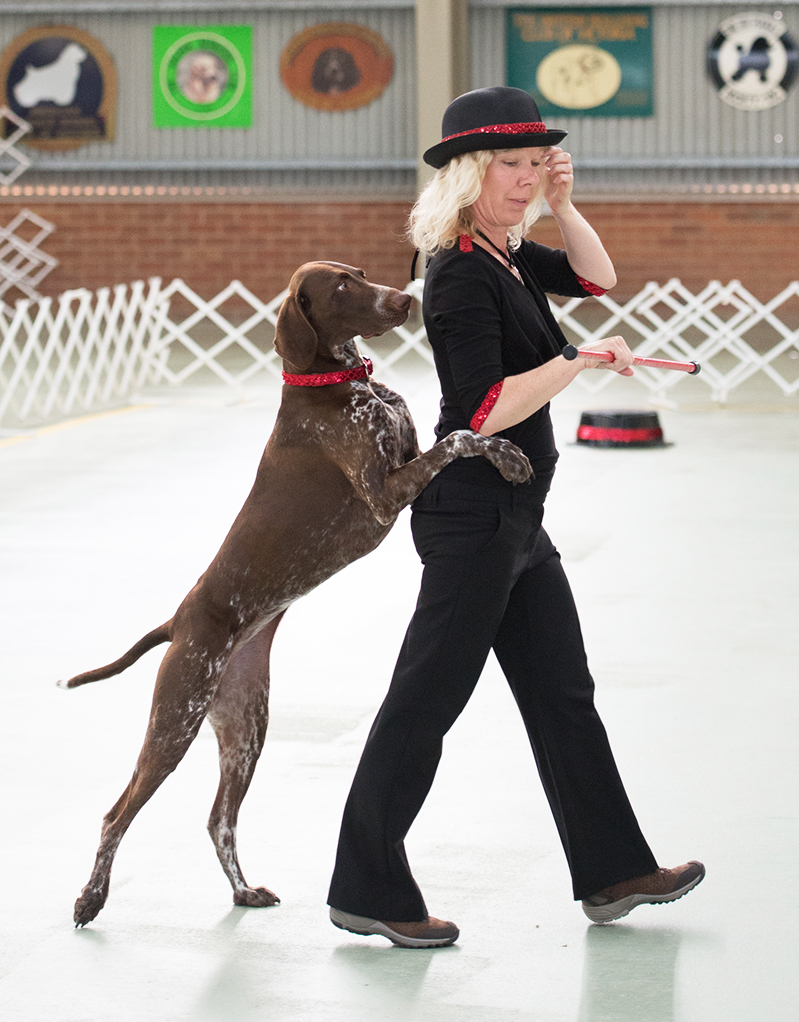 dog dancing