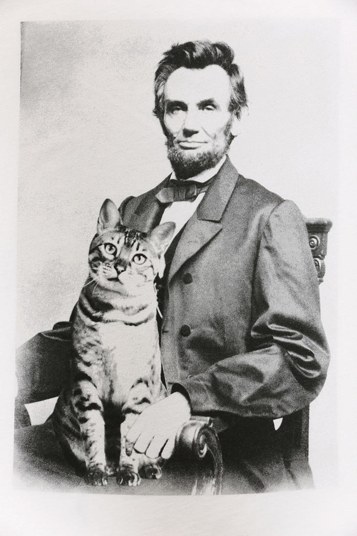Lincoln macskájával