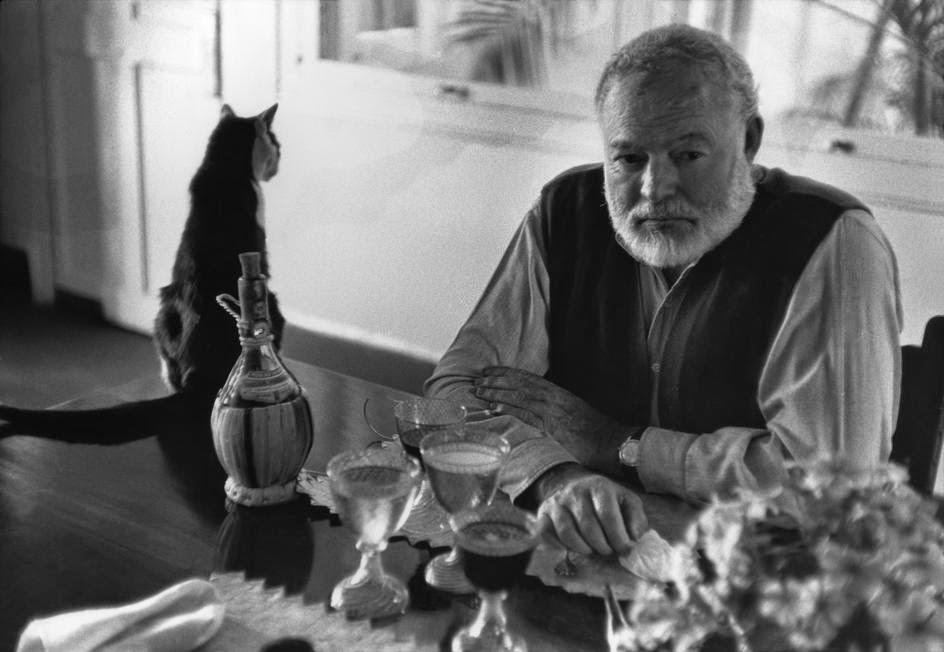catladiesproject.blogspot.com_Hemingway egyik cicájával
