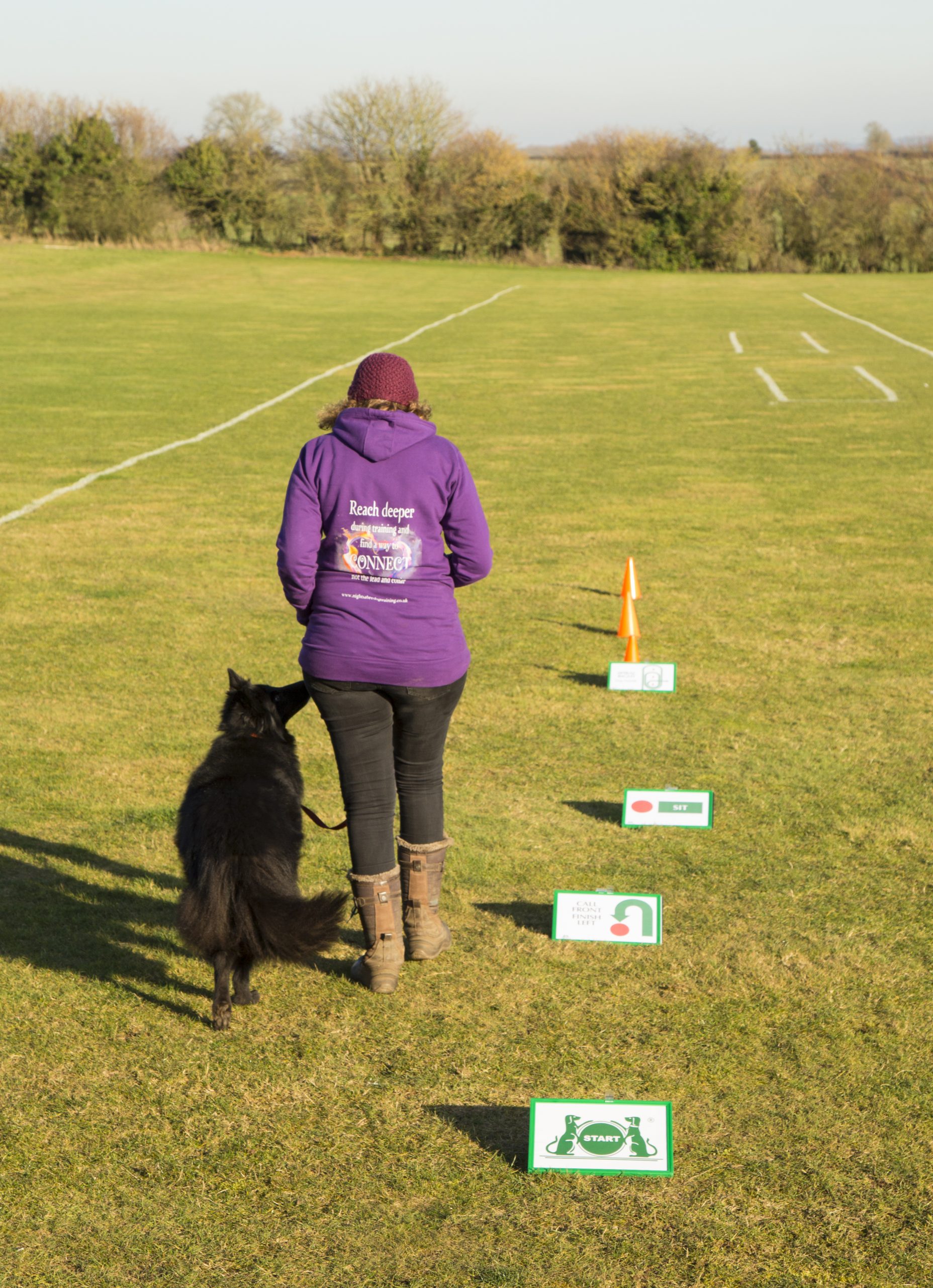 rally obedience_fanfocusplay.com