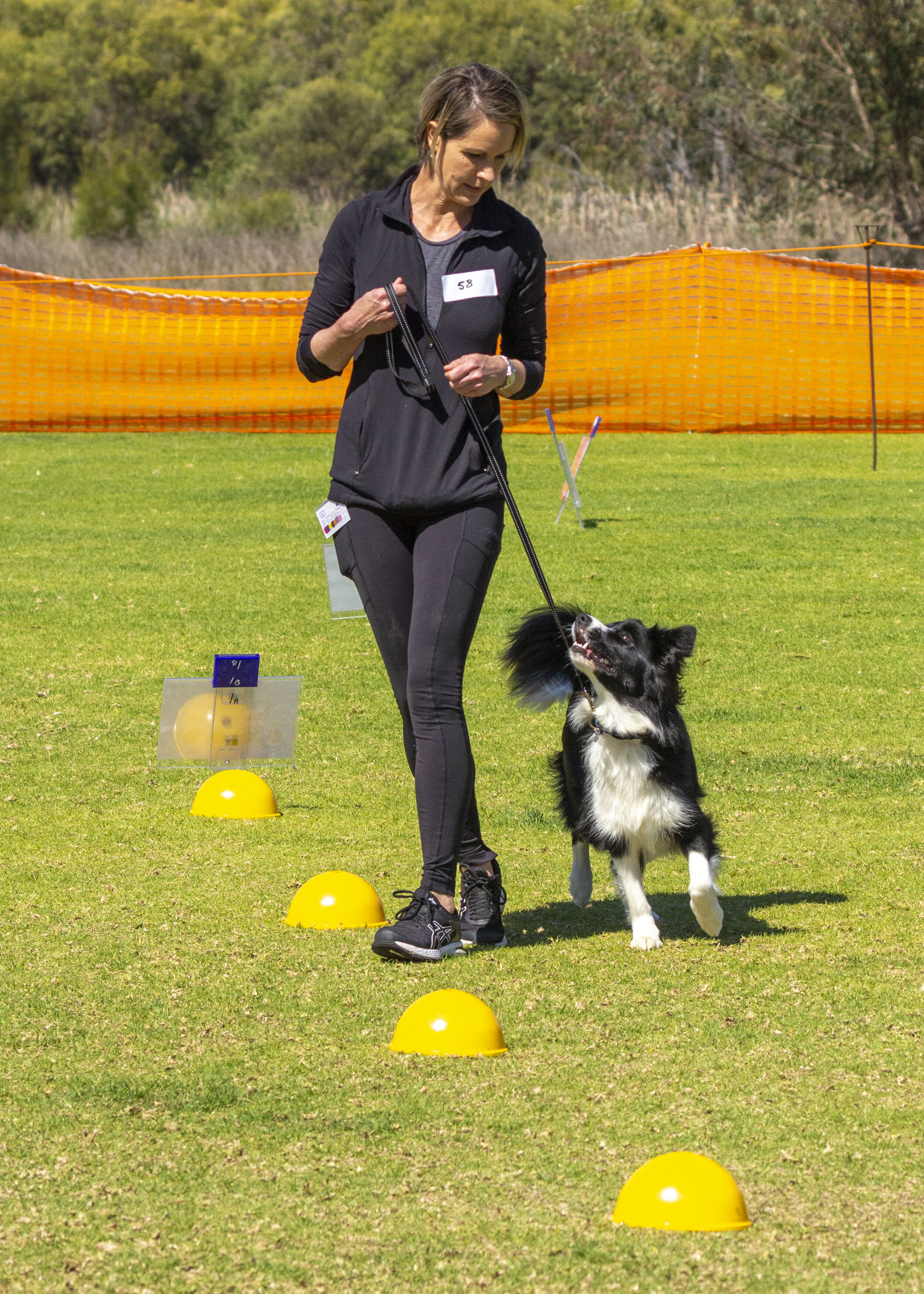 rally obedience_northernsuburbsdogclub.org