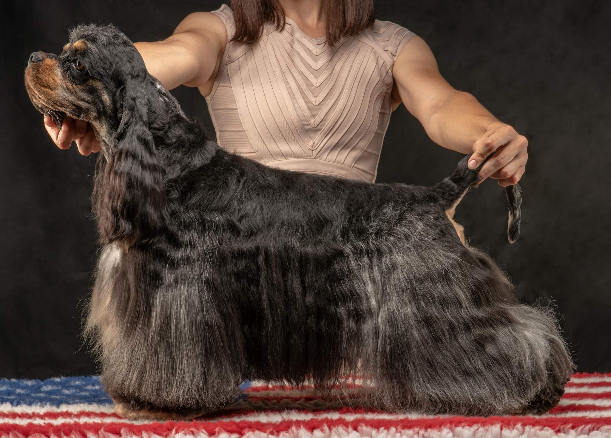 Tankovics Kornélia a KoriCockers Kennel tulajdonosának fotója