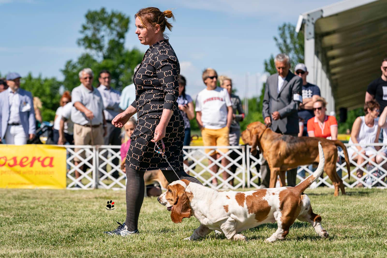 Fülöp Anikó a Nagyhegyi Pajkos Kennel tulajdonosának fotója
