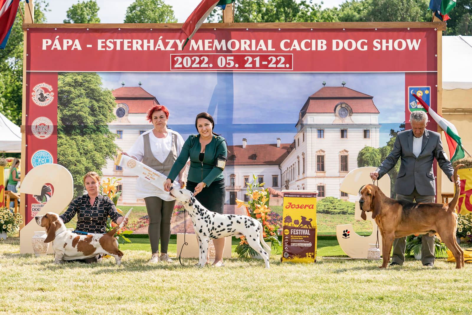 Fülöp Anikó a Nagyhegyi Pajkos Kennel tulajdonosának fotója