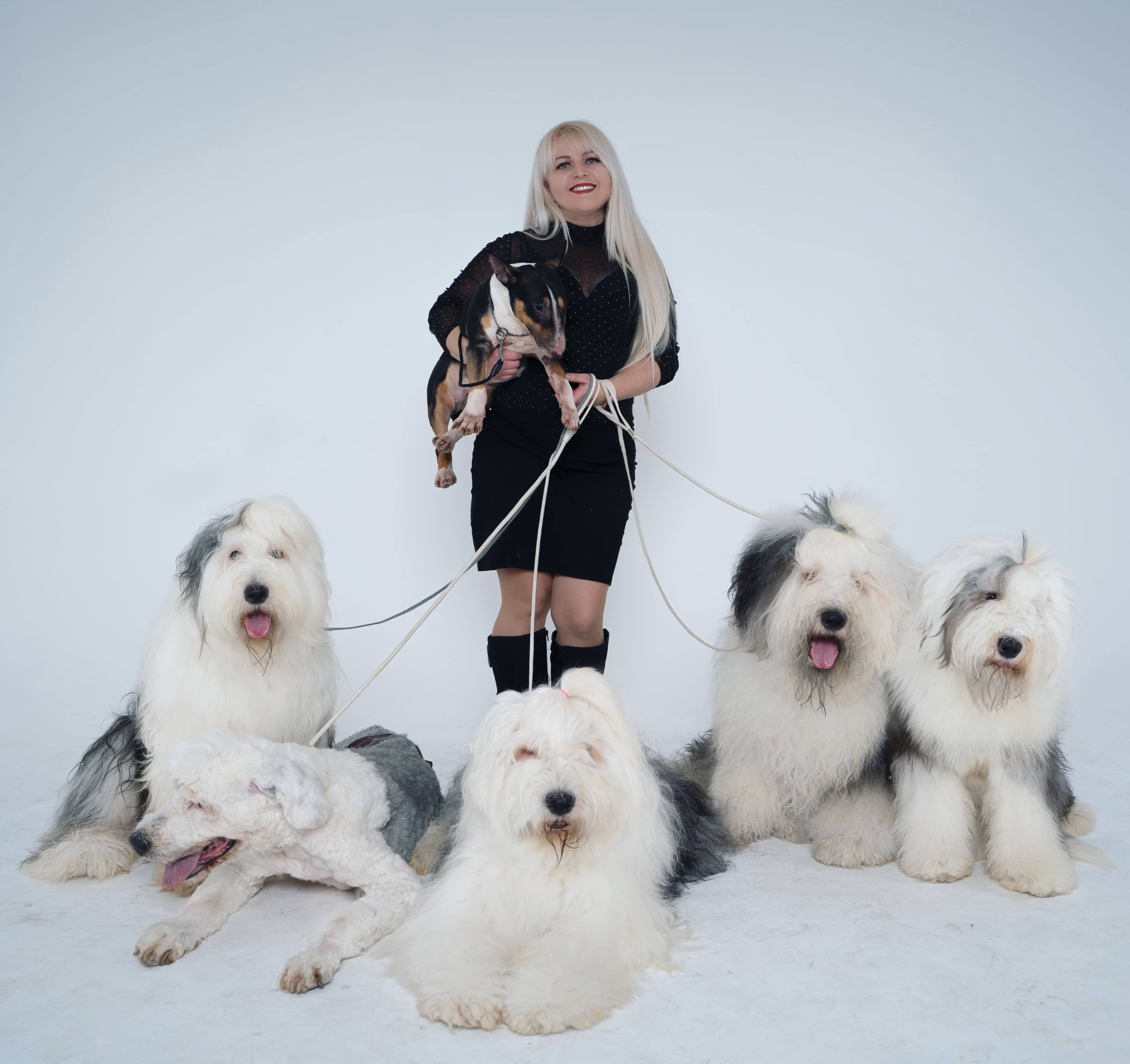 bobtail falka gazdájukkal