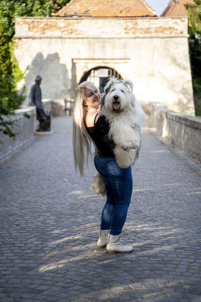 nő karjában bobtail kutyájával