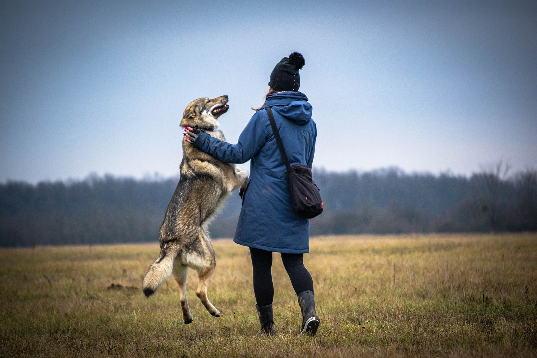 Szalay Dóra a Sounds Wild of Hungary kennel tulajdonosának fotója