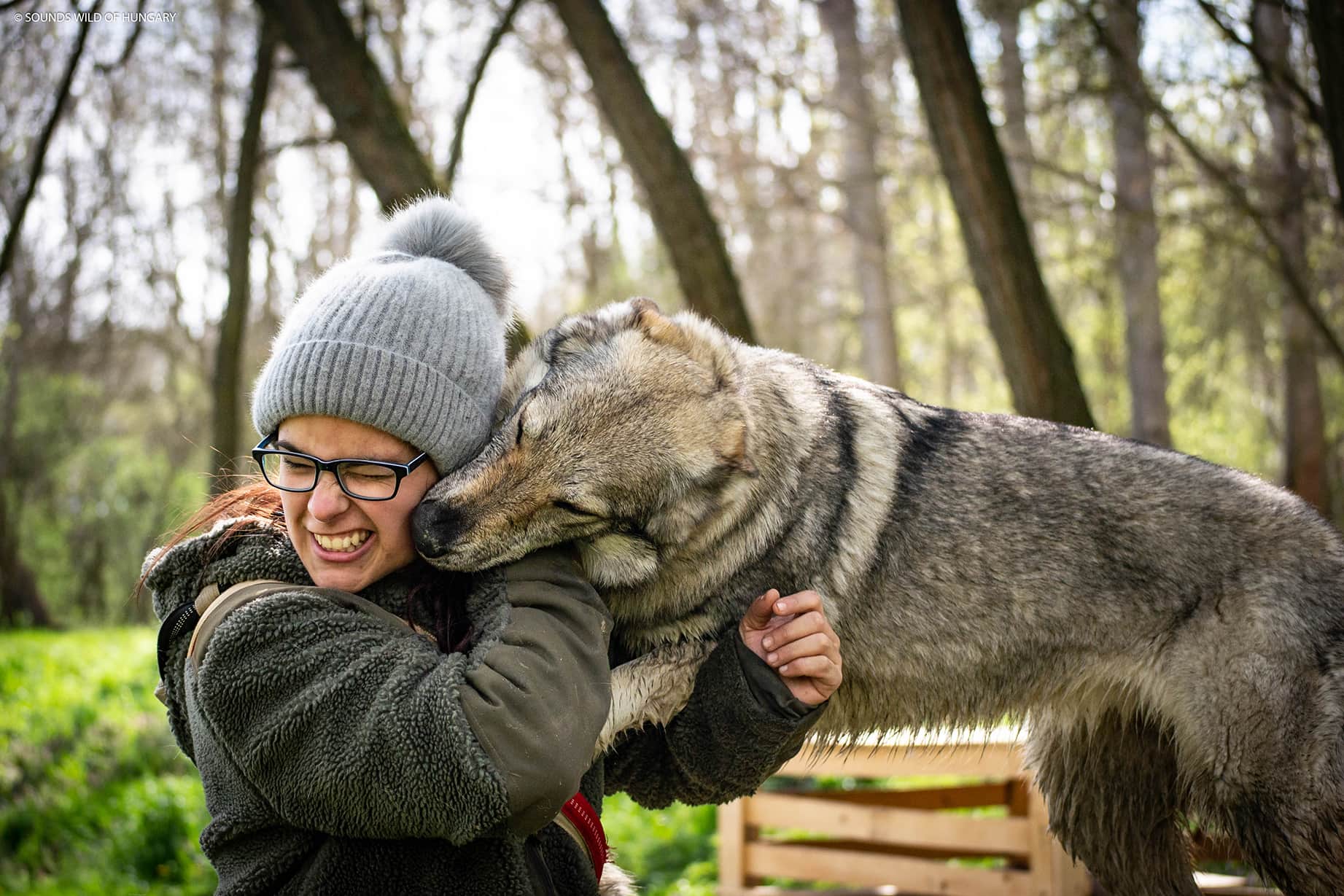 Szalay Dóra a Sounds Wild of Hungary kennel tulajdonosának fotója