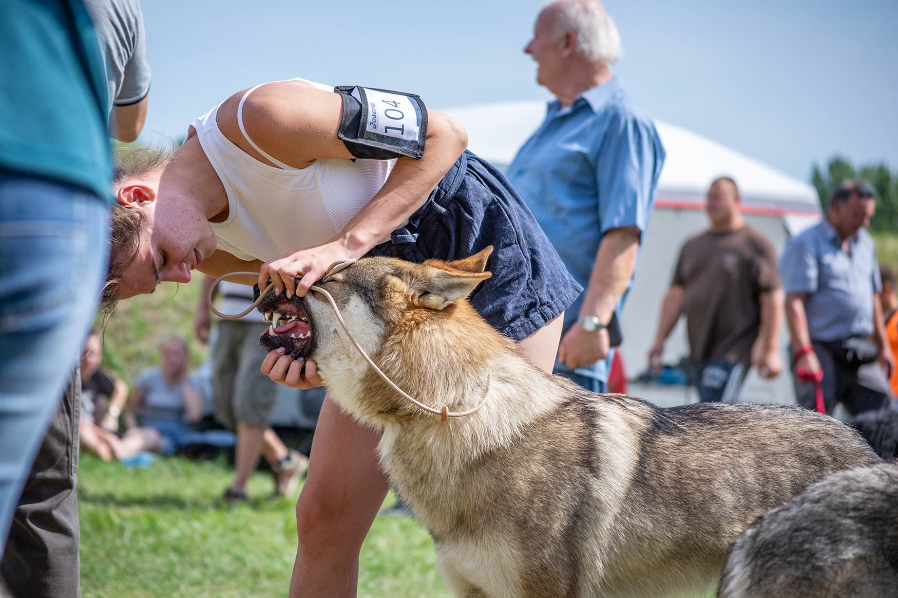 Szalay Dóra a Sounds Wild of Hungary kennel tulajdonosának fotója
