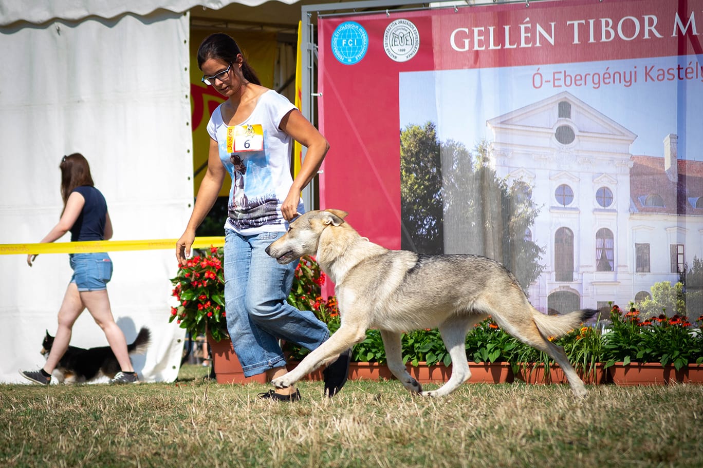 Szalay Dóra a Sounds Wild of Hungary kennel tulajdonosának fotója