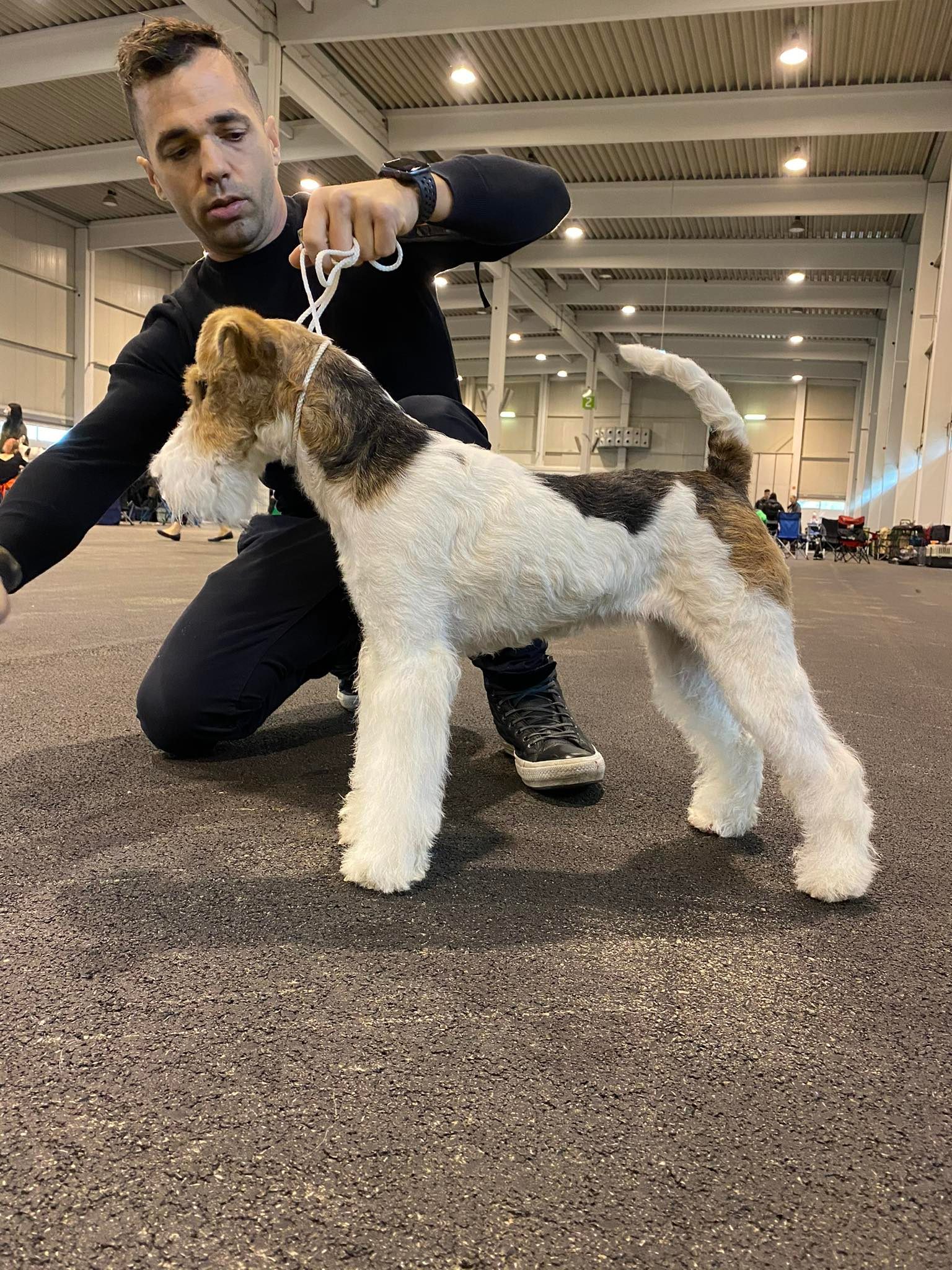 Szőke Attila az Eastern CURSE Kennel tulajdonosának fotója