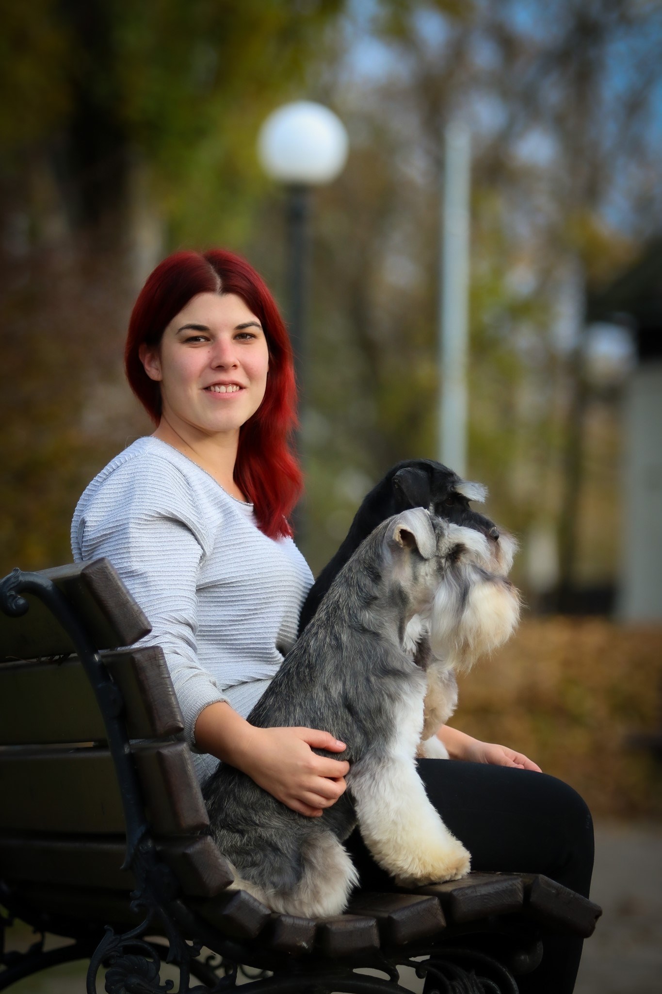törpe schnauzer gazdájával ül egy padon