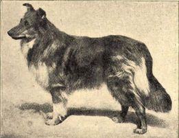Ch-_Southport_Perfection_Forrás: Ujidok1899