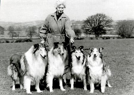 forrás: collie-online.com