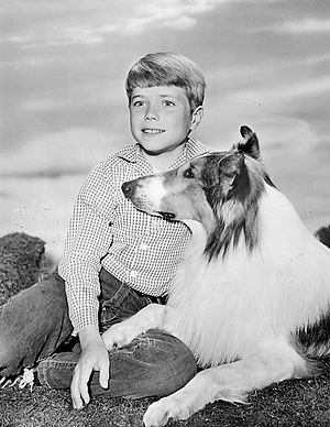 lassie