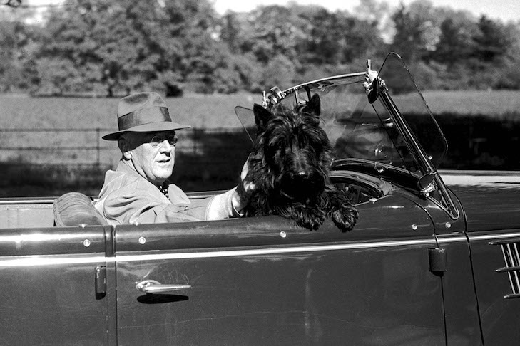 Roosevelt kutyájával_forrás: akc.org