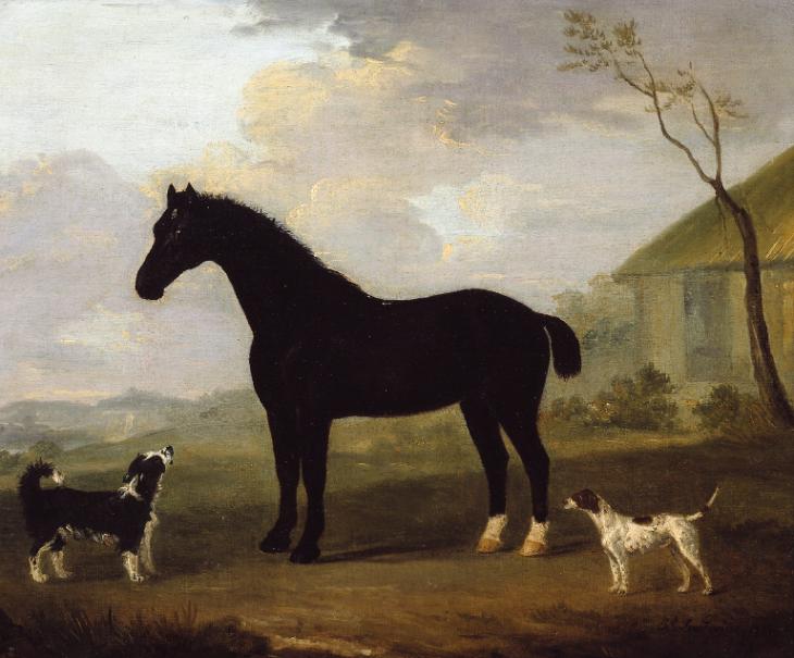 francis_sartorius_festmenye_Forrás: tate.org.uk