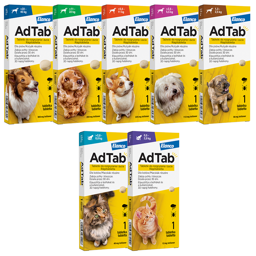 Forrás: AdTab