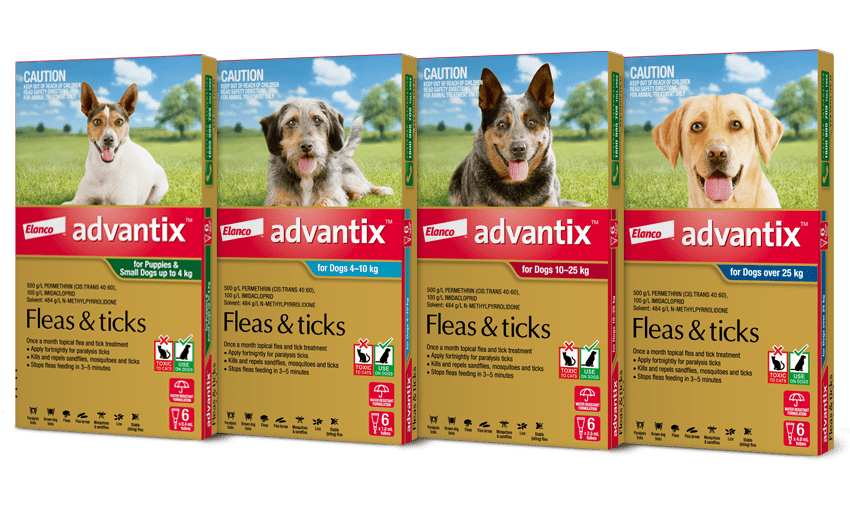 Forrás: Advantix