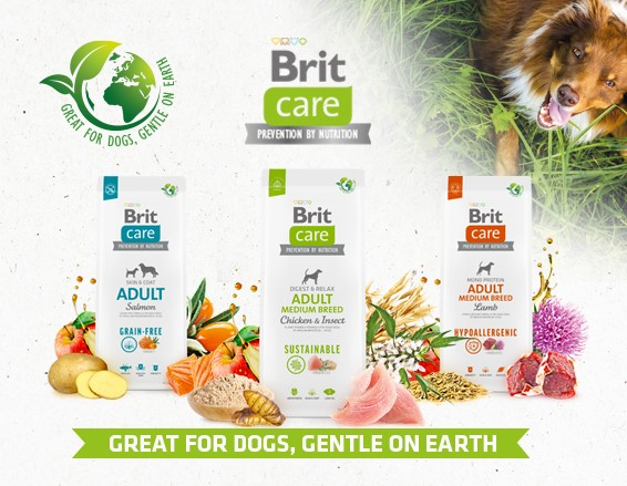 Brit Care