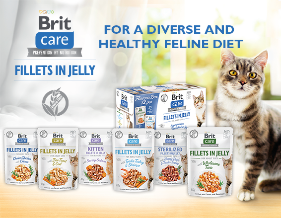 Brit Care