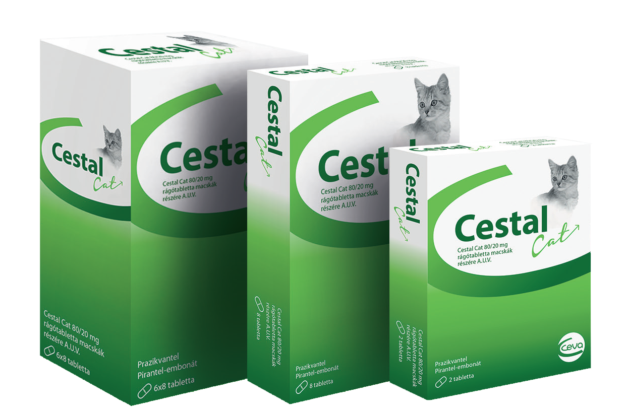 Cestal cat