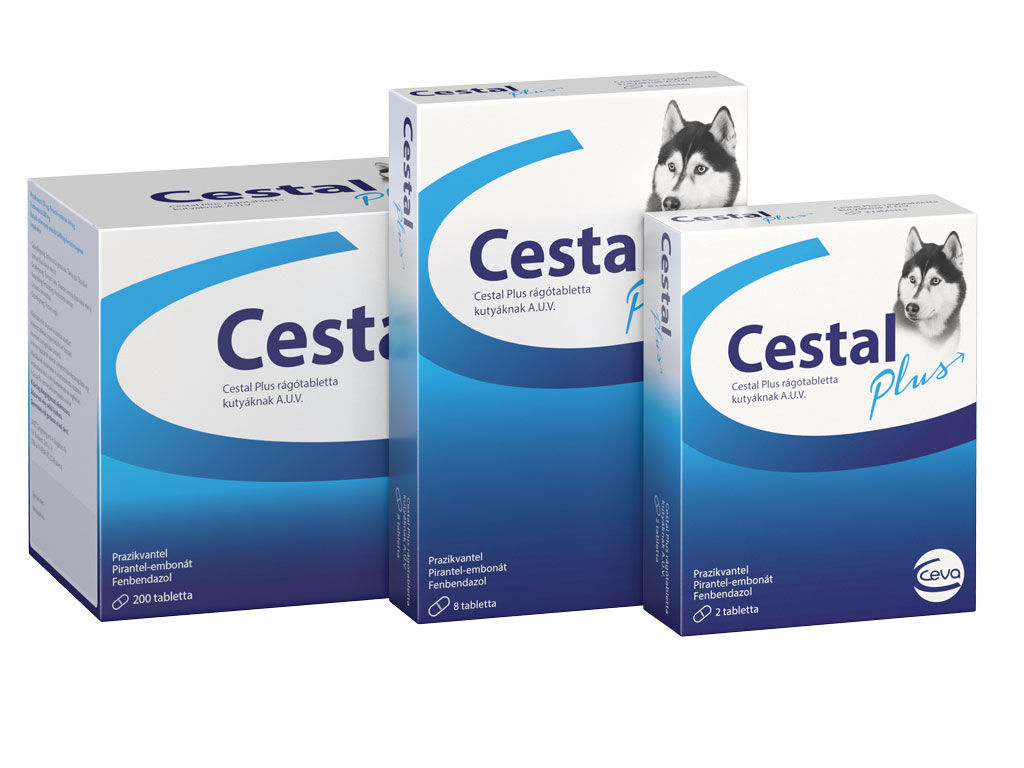 Cestal dog