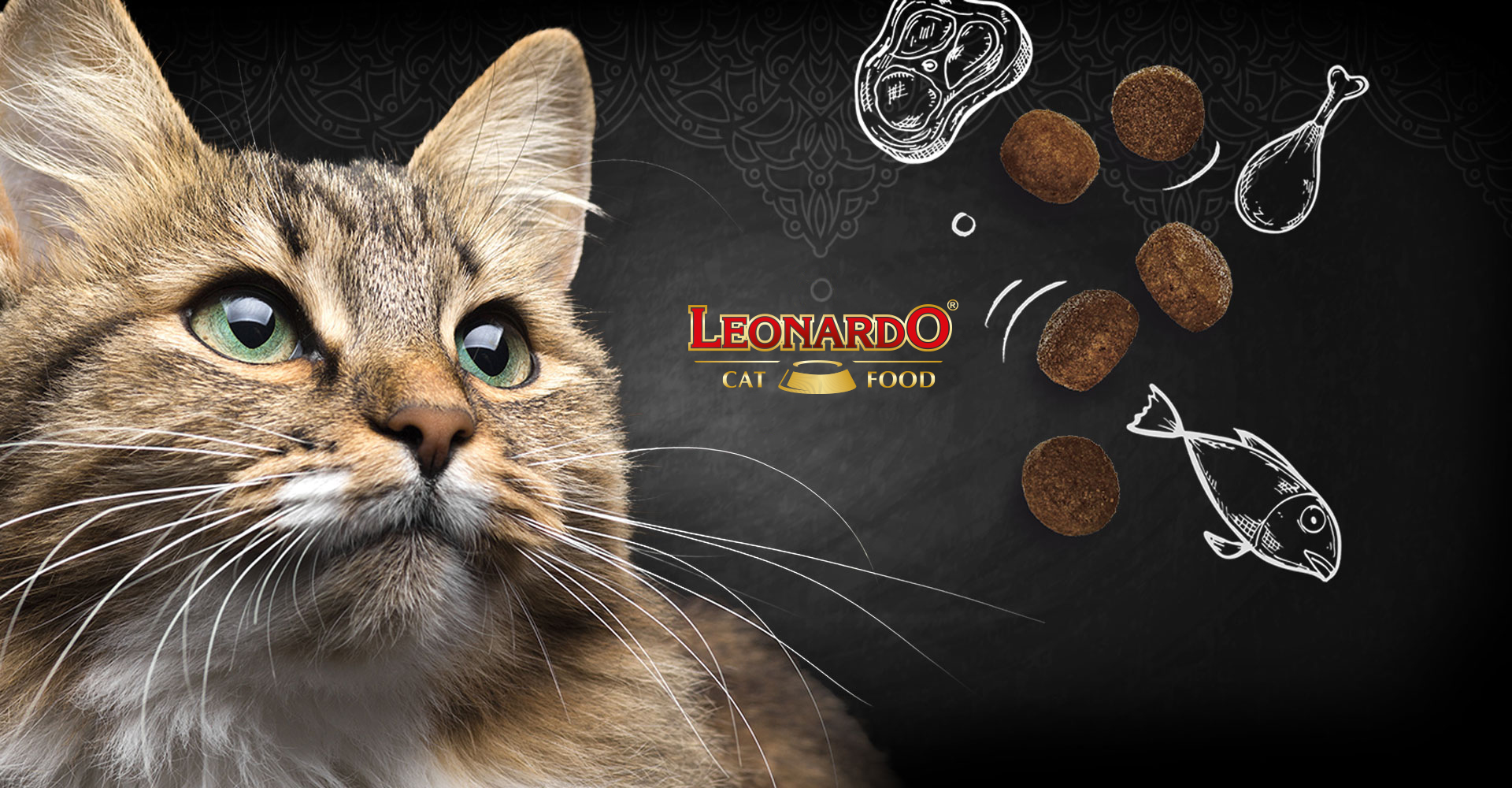 Forrás: leonardo-catfood.com