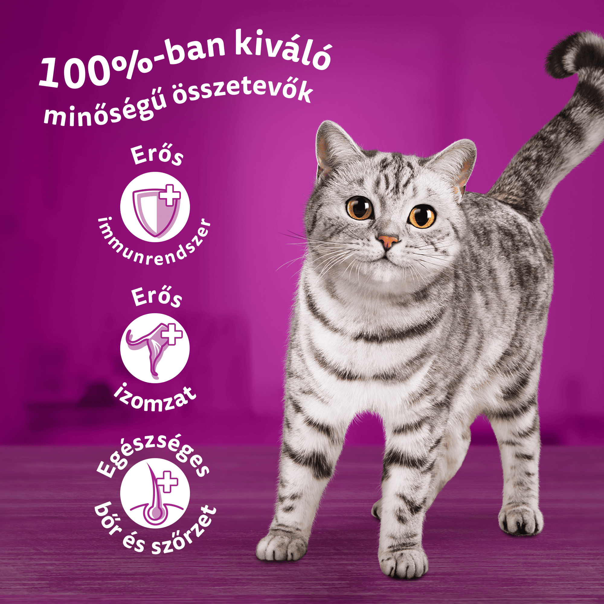whiskas